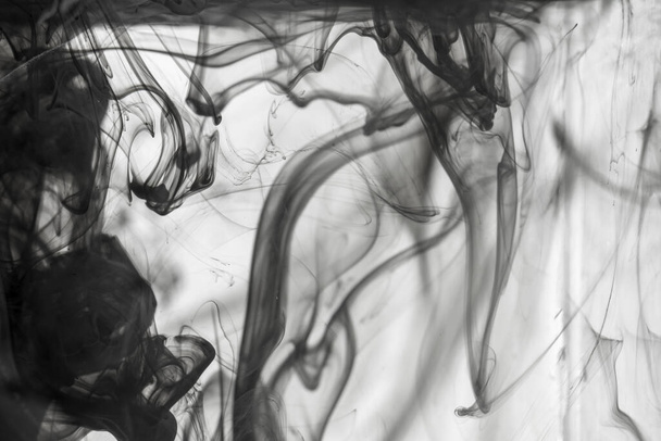 Pintura negra acrílica abstracta remolinos en agua sobre fondo blanco. - Foto, imagen