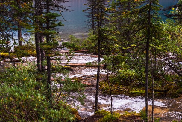 Gyönyörű természeti táj a Banff Nemzeti Parkban, Kanada - Fotó, kép