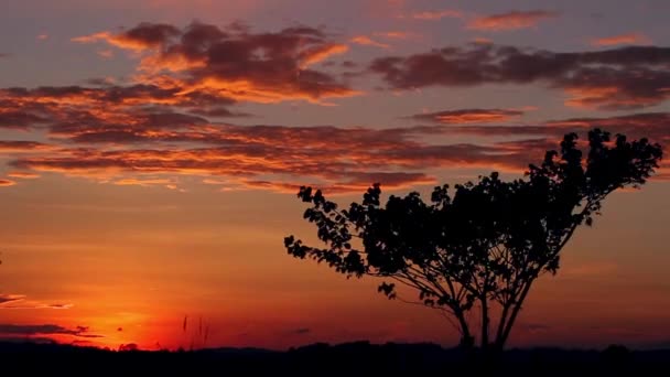 piękny złoty czerwony zachód słońca w Indiach - Materiał filmowy, wideo