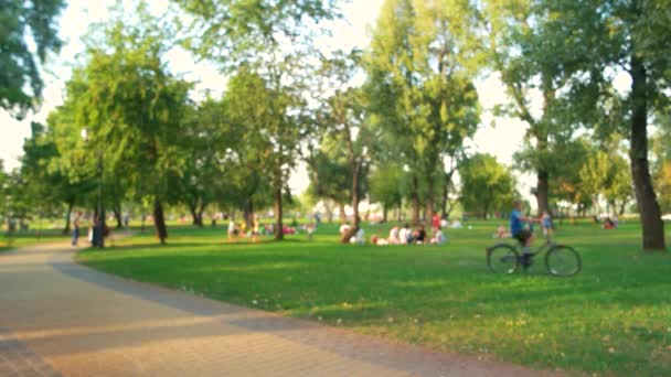 Parkta piknik yapan insanların bulanık görüntüsü - Video, Çekim