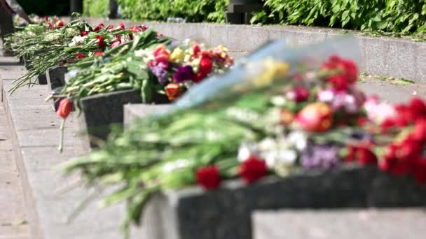λουλούδι ανθοδέσμες για μνημόσυνο γρανίτες πέτρες κοντά - Πλάνα, βίντεο
