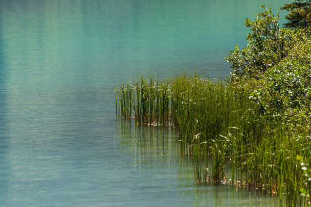 beautiful landscape with emerald lake in alberta, canada - Photo, Image