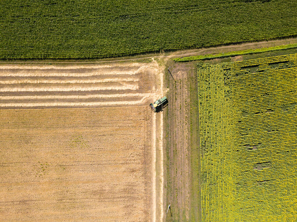 Ukrainian agricultural fields, aerial drone view. - Photo, Image