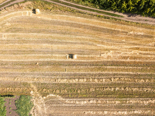 Oekraïense landbouwvelden, uitzicht op drone vanuit de lucht. - Foto, afbeelding