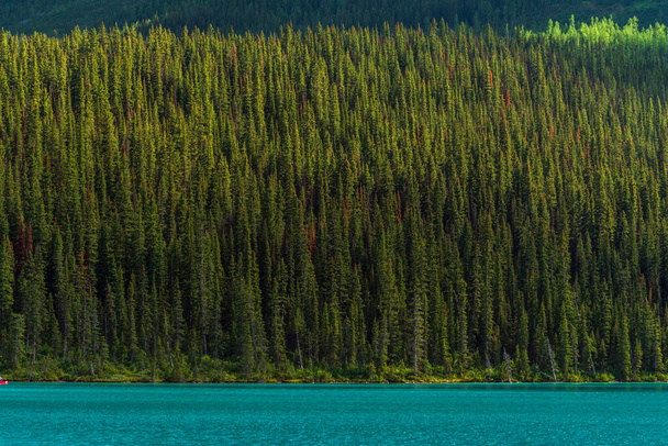 paisaje escénico con lago y montañas en el parque nacional Banff, Alberta, Canadá - Foto, Imagen