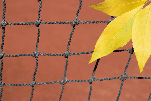 Tres hojas amarillas de otoño en una red de tenis sobre un fondo borroso de una pista de tenis roja. El concepto de fin de temporada. Emply spase para texto. - Foto, imagen