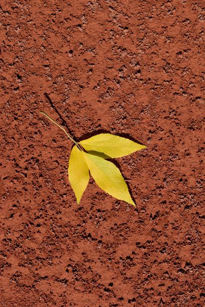 Tres hojas amarillas de otoño en el fondo de la pista de tenis de arcilla roja. Concepto de fin de temporada. Humor otoñal. Espacio para texto. - Foto, imagen