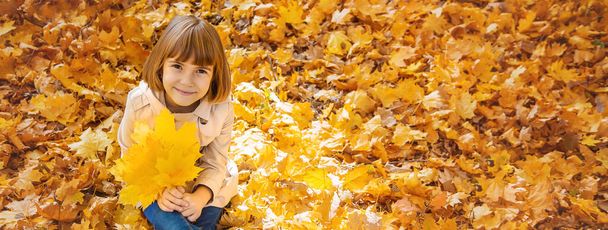 Niños en el parque con hojas de otoño. Enfoque selectivo. - Foto, imagen