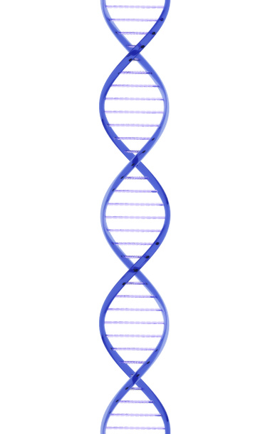ADN de vidrio
 - Foto, Imagen