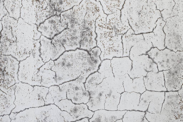 A high resolution old concrete cement with cracks and natural destruction from time and weather conditions. - Photo, Image
