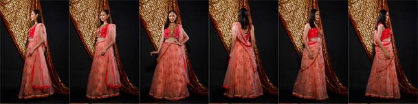 Indische Schönheit Gesicht perfekt geschminkt Hochzeitsbraut, Porträt einer schönen Frau in Red Pink traditionellen indischen Brautkleid mit schwerem Schmuck und Make-up 360 - Foto, Bild