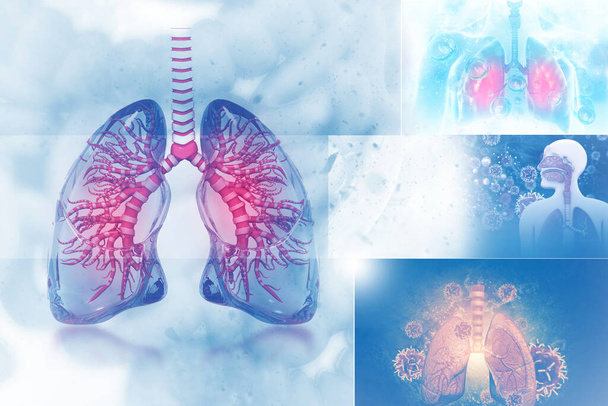 Human lungs on scientific background. 3d illustration - Photo, Image