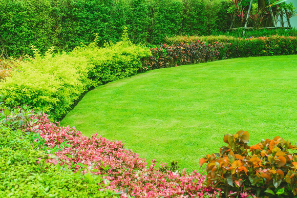 Διαμορφωμένους Τυπική, μπροστινή αυλή με σχεδιασμό κήπου, Πράσινο γκαζόν, Σχεδιασμός κήπου, Διαμόρφωση τοπίου στον κήπο, Κηπουρική για το παρασκήνιο. - Φωτογραφία, εικόνα
