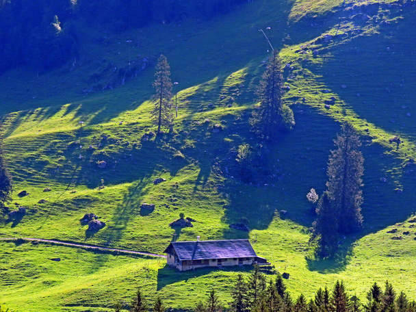 Traditional rural architecture and family livestock farms of the Uri Alps mountain massif, Melchtal - Canton of Obwald, Switzerland (Kanton Obwalden, Schweiz) - Foto, afbeelding