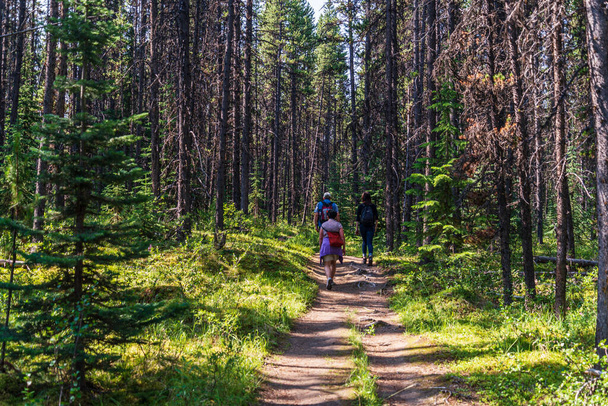 πίσω άποψη των ανθρώπων που περπατούν στο μονοπάτι στο εθνικό πάρκο Jasper, Καναδάς - Φωτογραφία, εικόνα