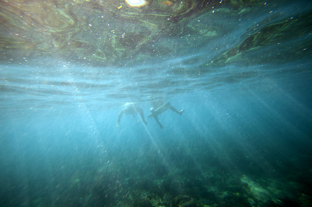 Legs underwater - Фото, изображение