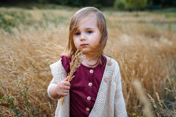 Kleines Kleinkind im Pullover auf dem Feld des ausgetrockneten Grases. Freimütiges Porträt eines Kindes draußen. Konzept zum Ende des Sommers. - Foto, Bild