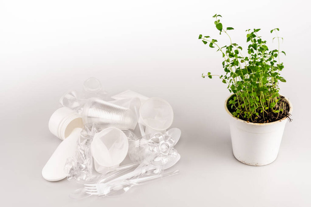 green plant in flowerpot near crumpled plastic trash on white background - Photo, Image