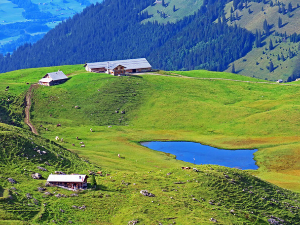 Альпійське нижнє озеро Seefeldsee (unterer Seefeldsee) або нижнє озеро Seefeld в гірському масиві Uri Alps, Sachseln - Canton of Obwald, Switzerland (Kanton Obwalden, Schweiz) - Фото, зображення