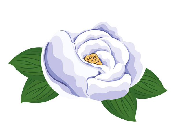 white rose flower with leaves painting vector design - Vector, Image