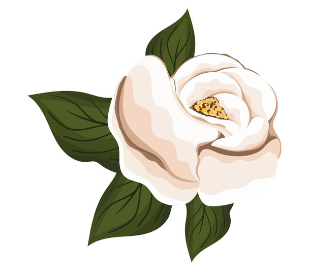 white rose flower with leaves painting vector design - Vector, Image