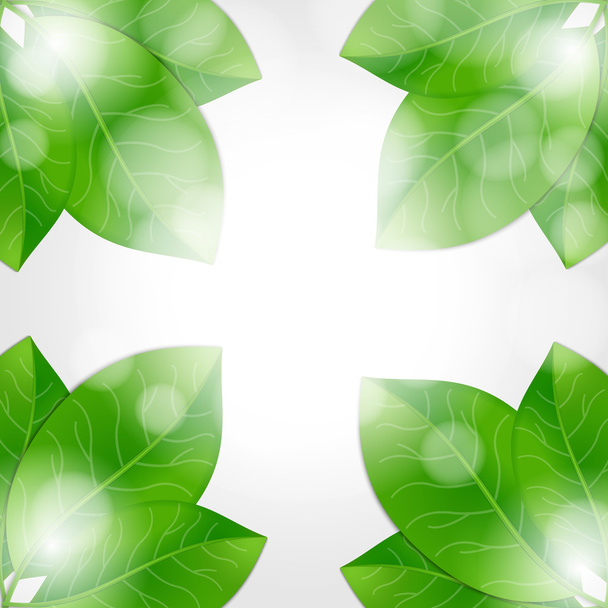 φόντο με φρέσκα πράσινα φύλλα - Διάνυσμα, εικόνα
