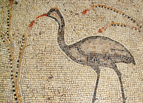 Antik mozaik tabgha, İsrail - Fotoğraf, Görsel