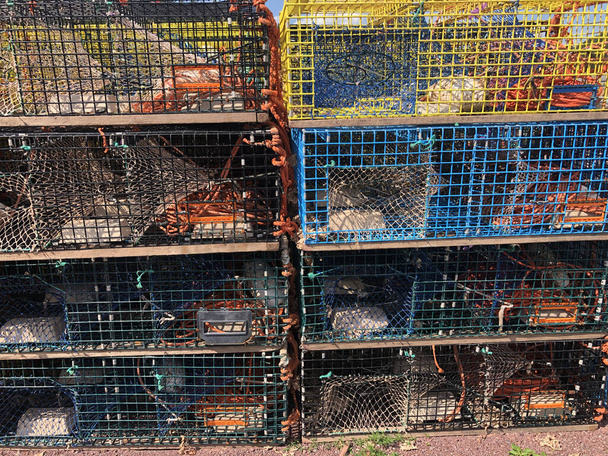 casiers à homard de différentes couleurs le long d'un quai du Canada atlantique sur la baie de Fundy, Nouveau-Brunswick - Photo, image