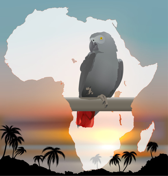 Afrikaanse kaart met achtergrond en grijze papegaai - Vector, afbeelding
