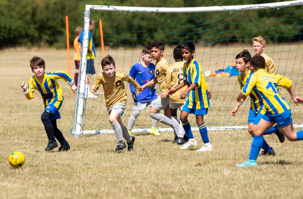 Basingstoke, Hampshire, Engeland, Verenigd Koninkrijk. augustus 2020. Basingstoke Colts in blauw en geel spelen RAFC van Andover. Actie tijdens de jeugd eerste wedstrijd van het seizoen volgens Covid-19 regels. - Foto, afbeelding