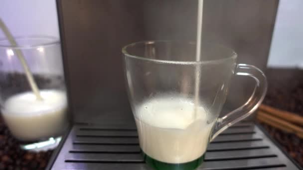 In de koffiemachine wordt een cappuccino gebrouwen. De melkschuim en vers gemalen koffie wordt toegevoegd. De transparante mok laat zien hoe de witte en bruine lagen van de warme drank worden gevormd en gemengd. Zachte achtergrond - koffiebonen, kaneel. - Video