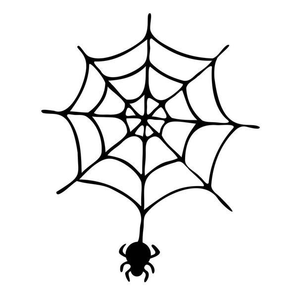 Pavučina s pavoukem izolovaným na bílém pozadí. Ruční kresba. Vektor. - Vektor, obrázek
