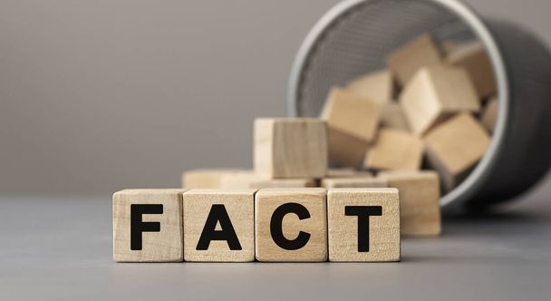 Word FACT made with cube wooden block on a desk, concept - Photo, image