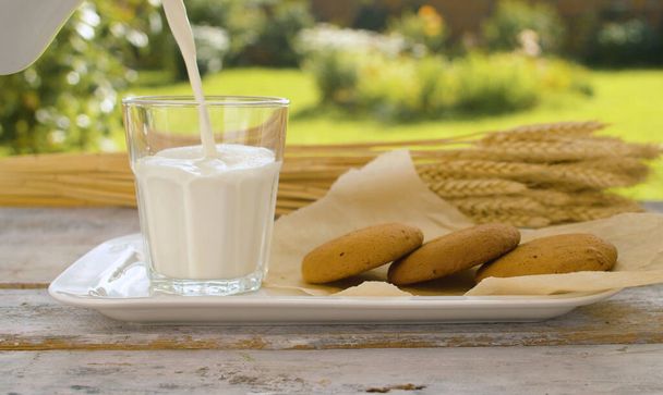 Cierre la mano vertiendo leche en un vaso de una jarra. Galletas y espigas de trigo sobre una mesa de madera en el jardín de una casa de campo - Foto, imagen