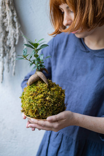 kokedama with bonsai tree or succulent tree in the hands of female close up - Foto, immagini