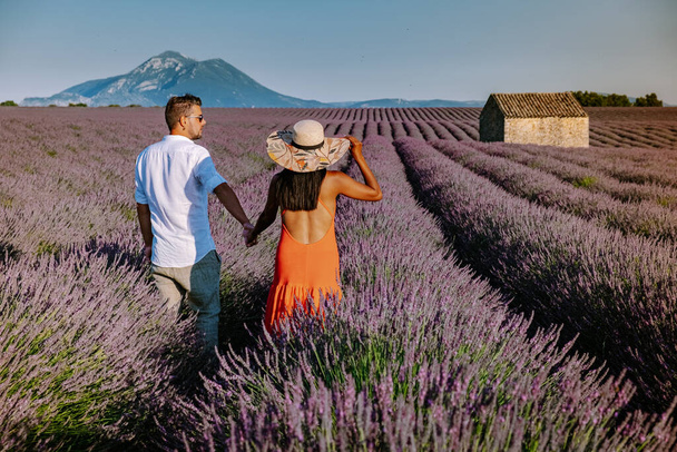 Provence lavanta tarlalarında, Provence, Lavender Field France, Valensole Platosu 'nda renkli Lavanta Platosu, Provence, Güney Fransa' da tatil yapan birkaç erkek ve kadın. Lavanta - Fotoğraf, Görsel