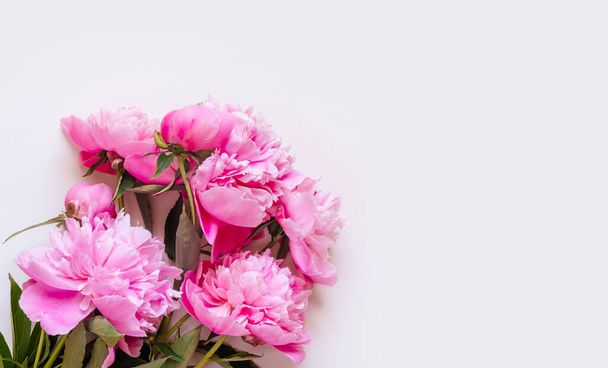 Vista dall'alto di fiori di peonia rosa con spazio copia. Fondo floreale. - Foto, immagini