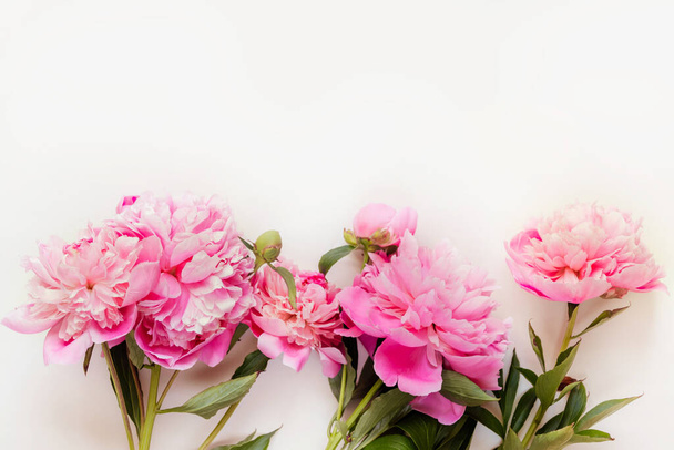 Top view of pink peony flowers with copy space. Floral background. - Fotó, kép