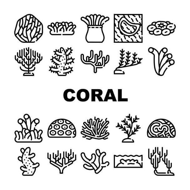 Korallenmeer Aquatic Reef Sammlung Symbole Set Vektor - Vektor, Bild