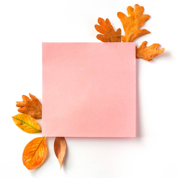 Composición cuadrada otoño - Foto, imagen