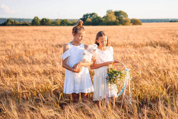 Chicas felices en el campo de trigo. Hermosas chicas en vestidos blancos al aire libre - Foto, imagen