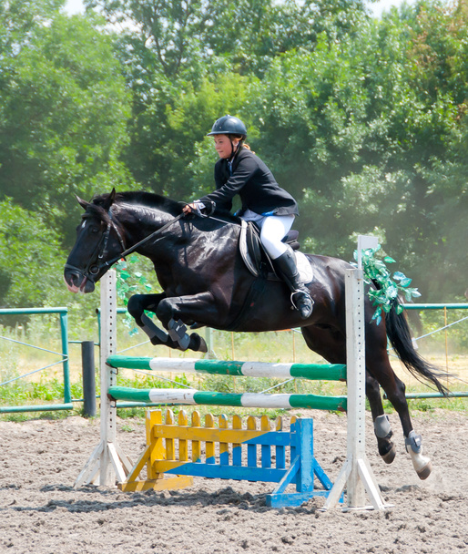 Jockey jumps over a hurdle - Photo, Image