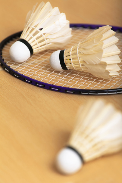 Badminton - Fotografie, Obrázek