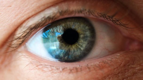 green blue eye with eyelids and eyelashes - Valokuva, kuva