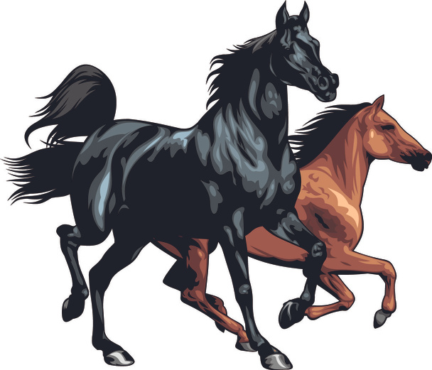 jolis chevaux isolés
 - Vecteur, image