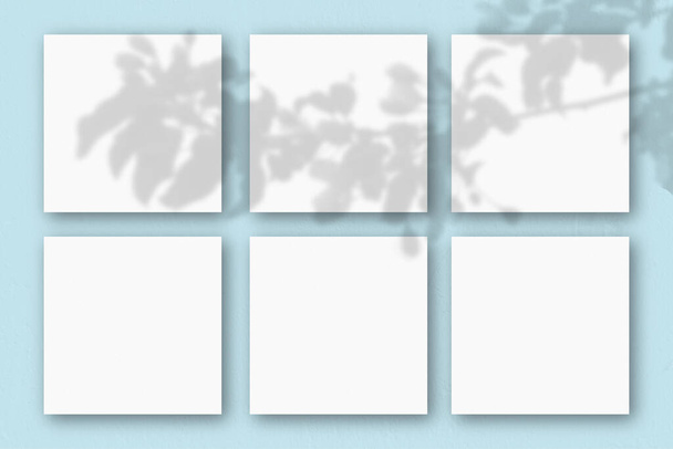 6 vierkante vellen wit getextureerd papier op de blauwe achtergrond van de muur. Mockup bedekt met de schaduw van de planten. Natuurlijk licht werpt schaduwen van een exotische plant.Flat lay, bovenaanzicht. Horizontale oriëntatie - Foto, afbeelding