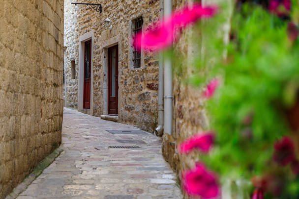 Pintorescas calles estrechas del casco antiguo medieval bien conservado con flores borrosas en primer plano en Kotor, Montenegro en los Balcanes - Foto, Imagen