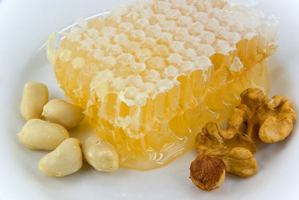 Honeycomb - Photo, Image
