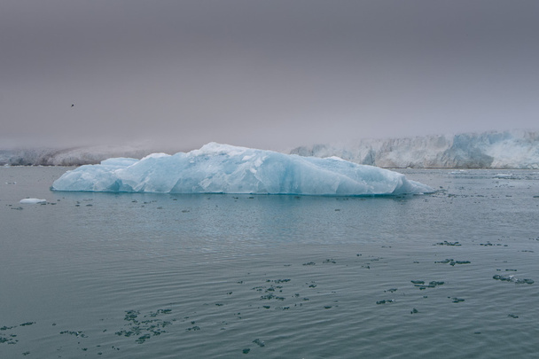 Spitzbergen-Gletscherlandschaft - Foto, Bild