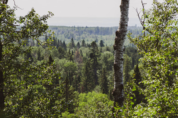 Προβολή στο Baldy Mountain Hiking Trail στο Duck Mountain Provincial Park, Manitoba, Καναδάς - Φωτογραφία, εικόνα